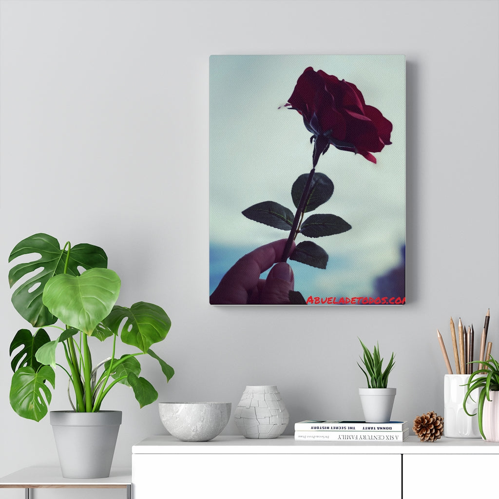 🌹Canvas de la Rosa