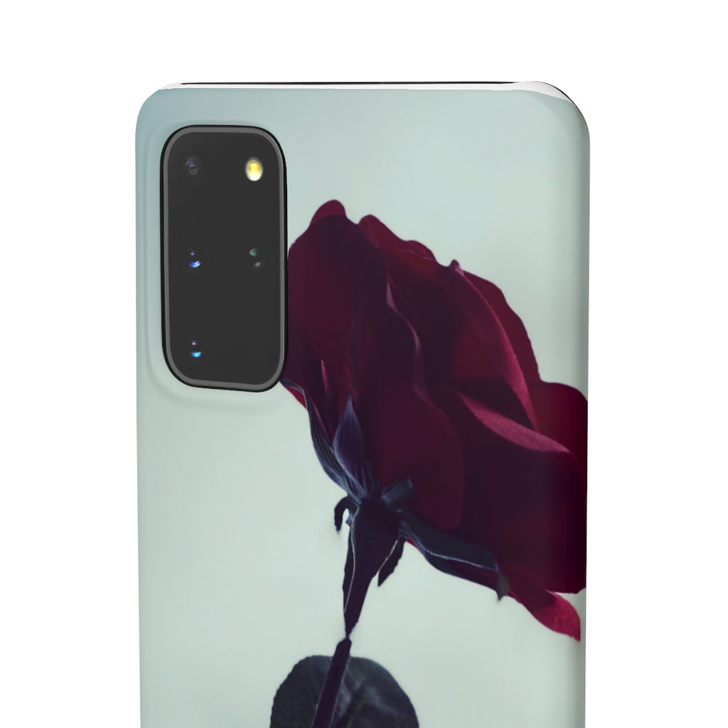 🌹El Case de la Rosa