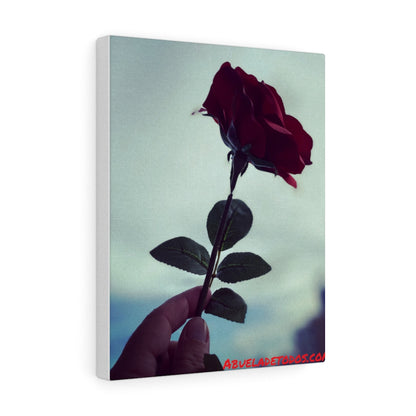 🌹Canvas de la Rosa