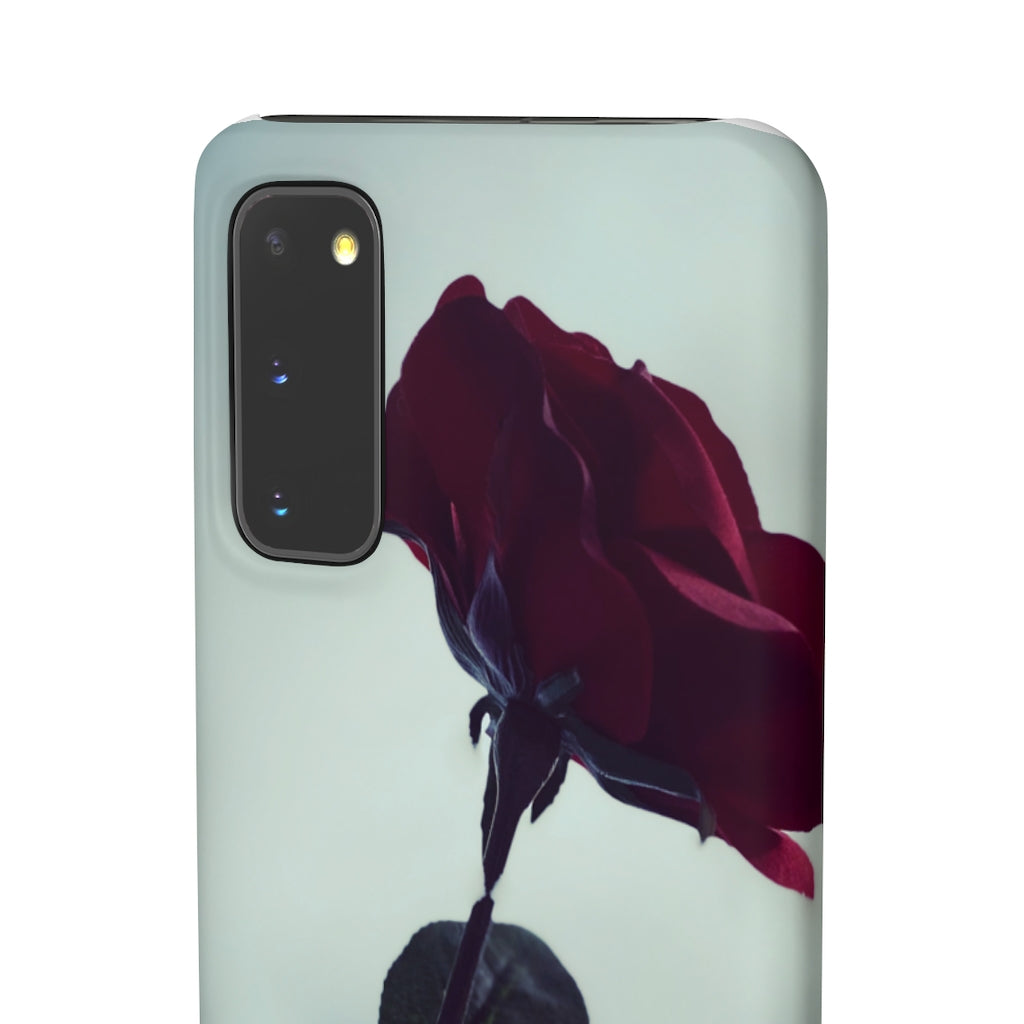 🌹El Case de la Rosa