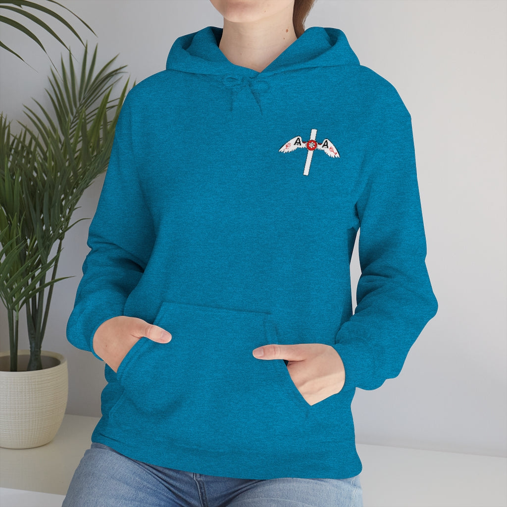 Hoodie del logo Aida