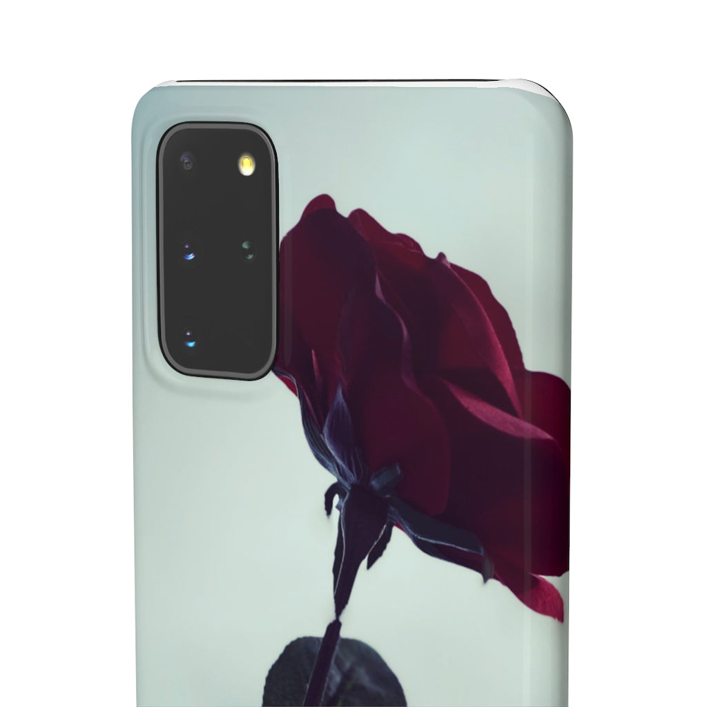 🌹El Case de la Rosa