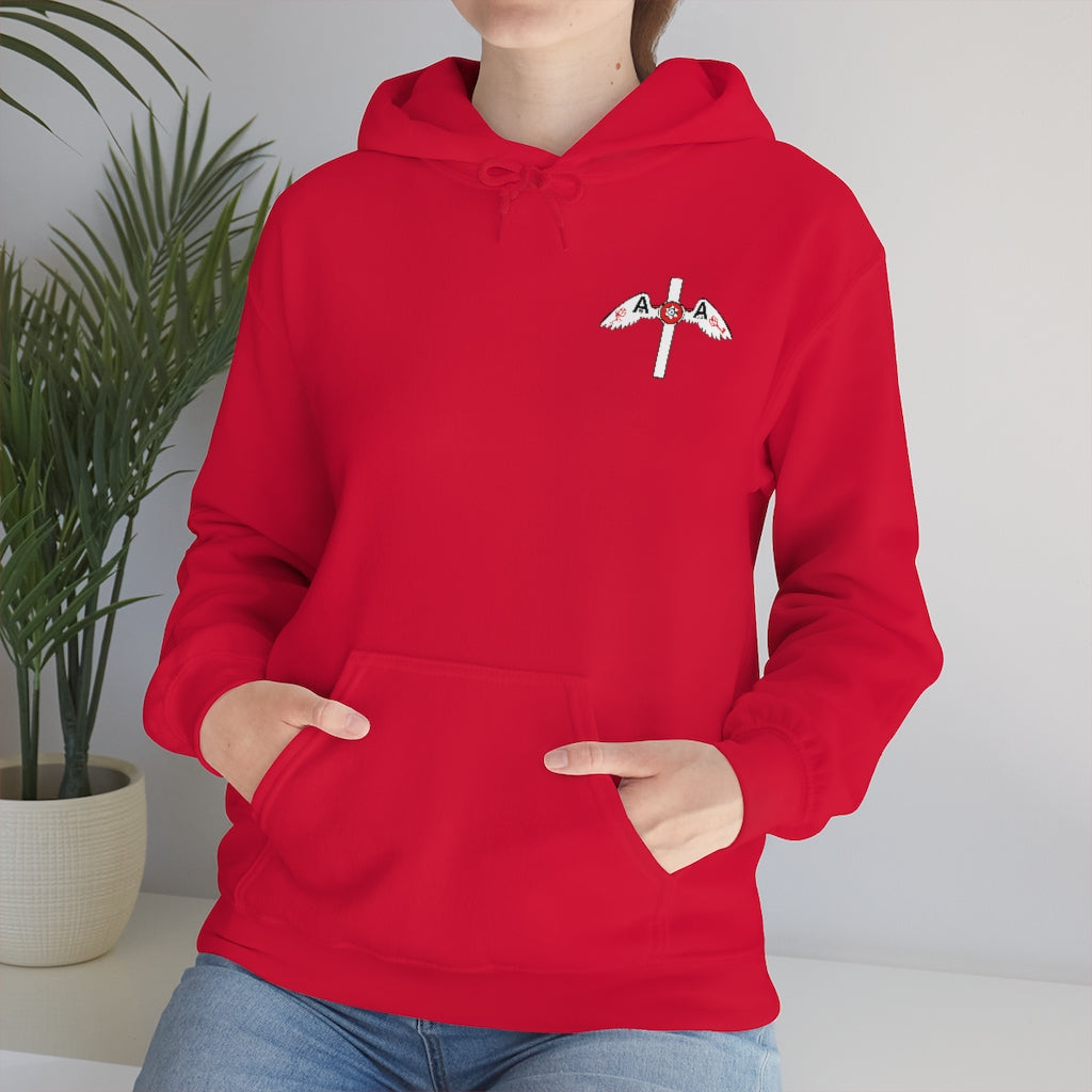 Hoodie del logo Aida