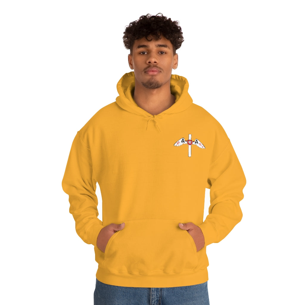 Hoodie del logo Aida