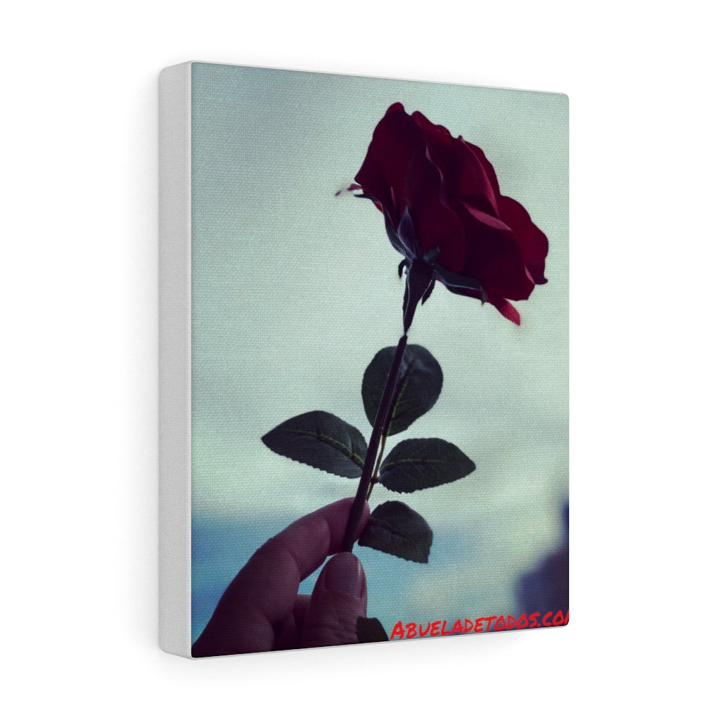 🌹Canvas de la Rosa