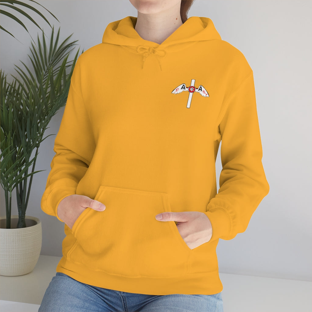 Hoodie del logo Aida